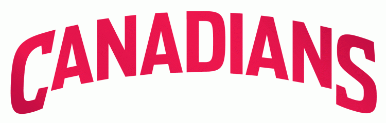 Vancouver Canadians 2008-2013 Wordmark Logo iron on transfers for T-shirts